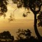 Stradbroke Island Sunset - Merit Solutions Australia